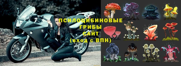 ешки Абаза