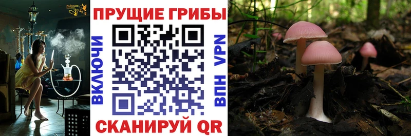 мега онион  Лысьва  Псилоцибиновые грибы ЛСД 